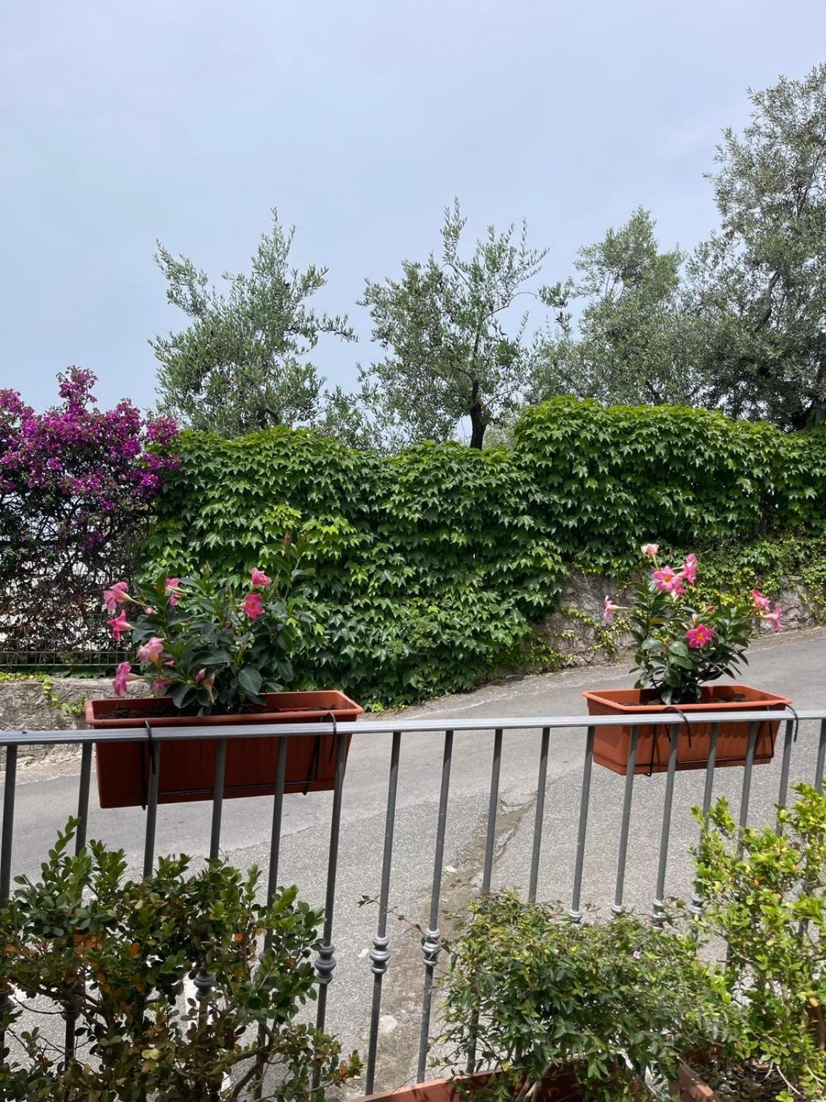 Villa Valentina Suite Massa Lubrense Exterior foto